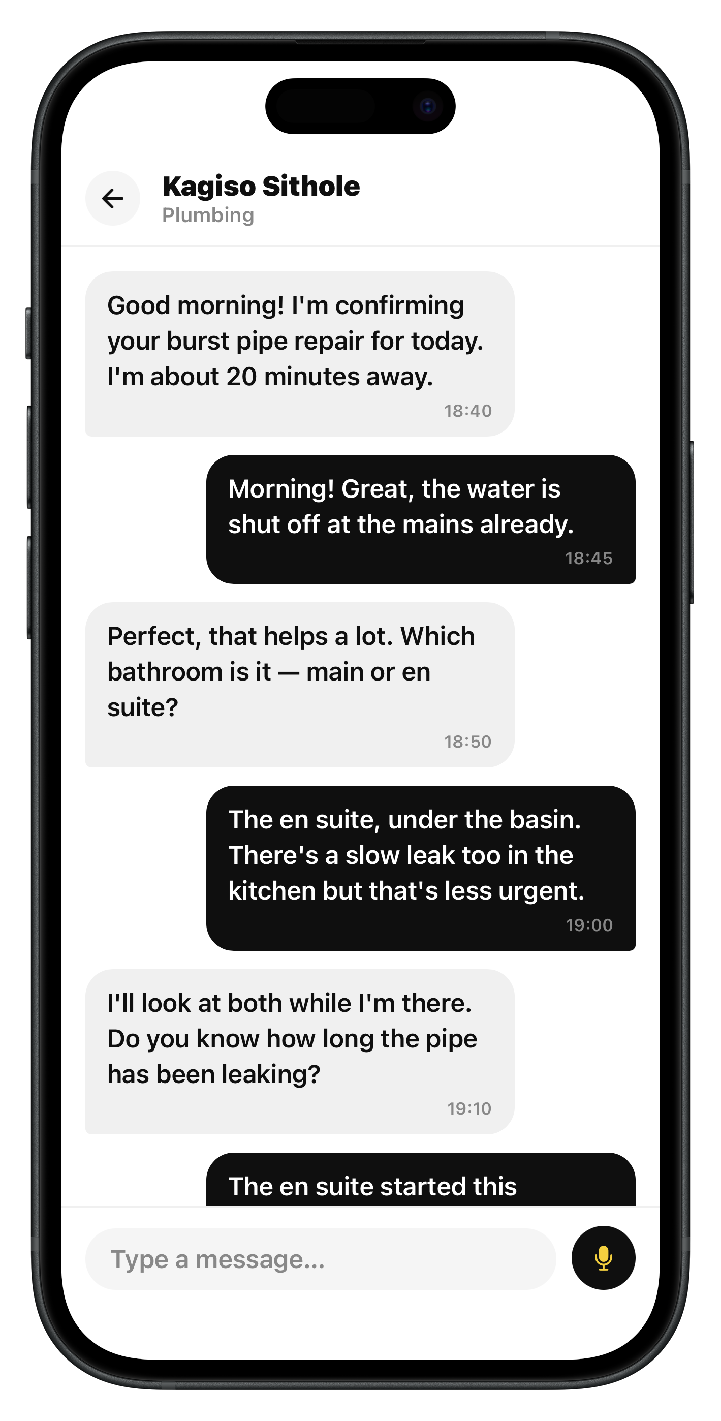 Zinto chat conversation
